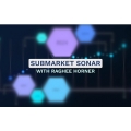 Raghee Horner Simpler Trading -Sub-Market Sonar (Enjoy Free BONUS  Market Maker Strategy Fractal Flow PRO video course)